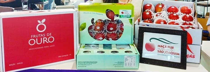 Os segredos da maçã Fuji de São Joaquim: o frio do terroir, o pingo de mel, a crocância e a suculência