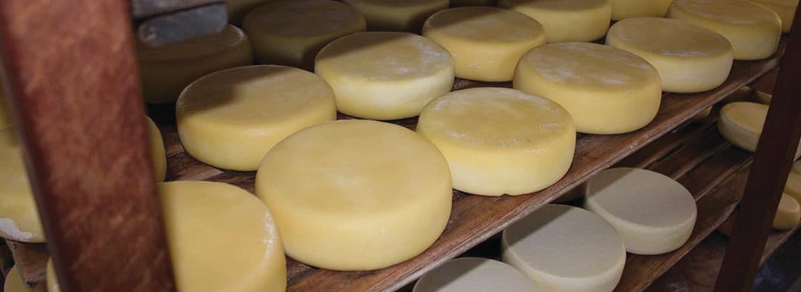 Queijo da Canastra