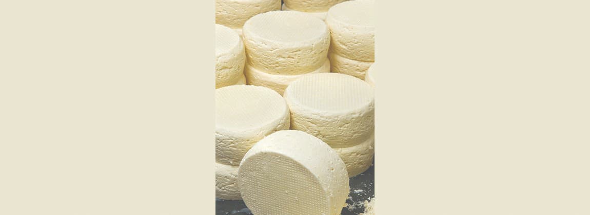 Queijo da Região do Serro