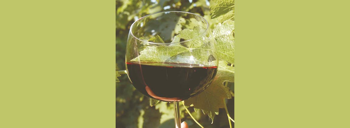 Vinhos e Espumantes do Vale dos Vinhedos
