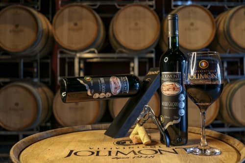 A força da produção do vinho no inverno da Serra Gaúcha