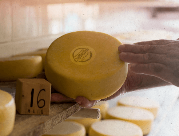 Queijo da Canastra, uma tradição secular na Serra mineira