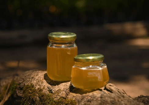 Em 15 dias, três novos produtos recebem selo de Indicação Geográfica